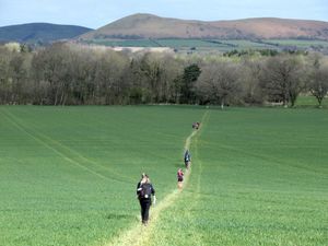 Supporting image for story: Organisers in Shropshire taking steps to make next year's walking and running festival the best 