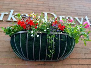 Supporting image for story: 'They are blooming beautiful' - floral displays set Market Drayton apart from other towns, says Mayor