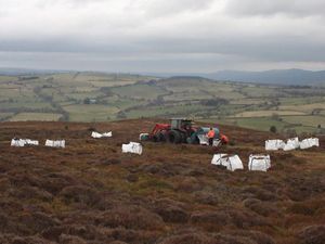 Supporting image for story: Work to restore heaths after blaze