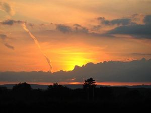 Supporting image for story: What happens when we die, described by 11 GIFs on Twitter