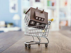 Supporting image for story: Star comment: Winners and losers in the housing market