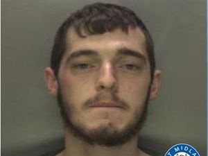 Supporting image for story: Jailed: Man broke into home armed with a machete after dispute over dog