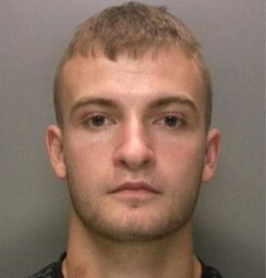 Supporting image for story