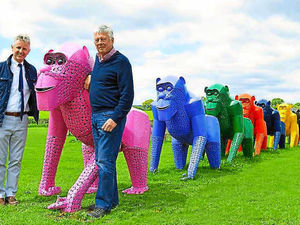 Supporting image for story: New 10-piece heavy metal outfit to provide wow factor at Llangollen festival