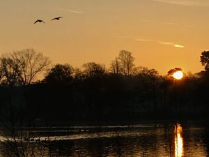 Supporting image for story: Sun from the south is warming Shropshire hearts