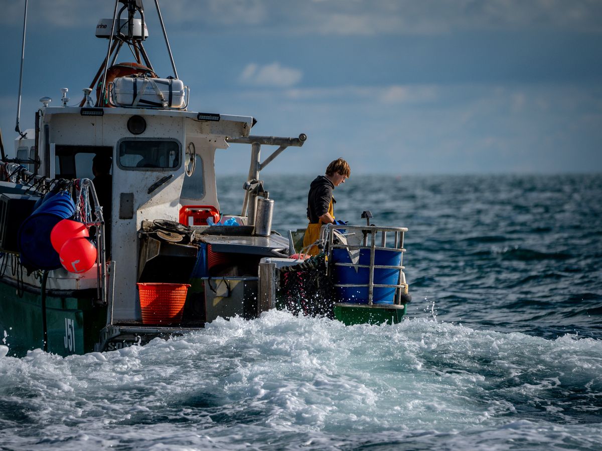 UK Government has ‘surrendered’ on fishing in EU deal, says Swinney