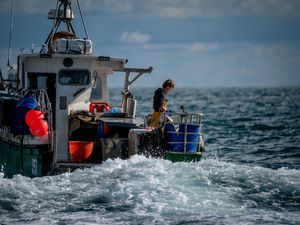 A small fishing boat viewed from the back