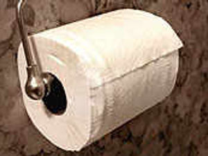 Supporting image for story: Toilets were disgusting