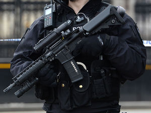 Supporting image for story: Armed police arrest man, 38, in Walsall operation