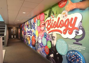 An example of the new wall art at New Road.