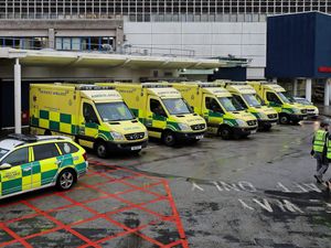 Supporting image for story: TikTok trend prompts call for tiny magnetic balls to be banned