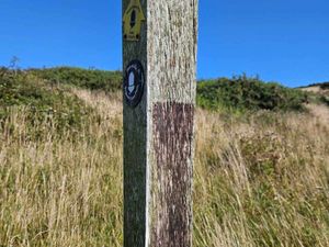 Supporting image for story: Plaques commemorating writers stolen from South Downs National Park