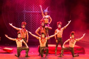 Cirque Beserk. Pic: Piet Hein-Out