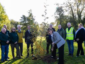 Supporting image for story: Telford nature reserve given tree from Queen's Green Canopy