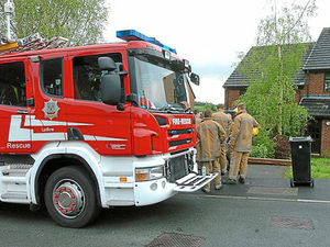 Supporting image for story: Three dogs saved from Ludlow house fire