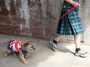 Supporting image for story: Peter Rhodes on vegan kilts, dangerous statistics and the global message of McDonald's