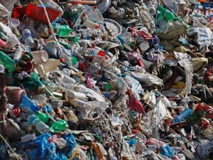 Supporting image for story: Clean-up of Mount Everest will take years, sherpa says