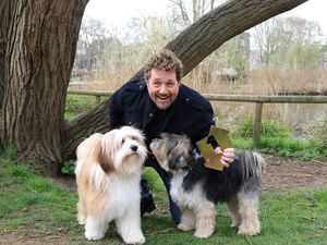 Supporting image for story