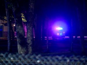 Supporting image for story: Seven shot at park in Washington state, police say