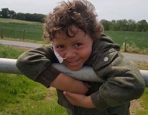 Supporting image for story