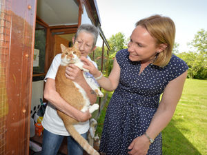 Supporting image for story: MP in animal welfare pledge on visit to Shropshire cat rescue centre  