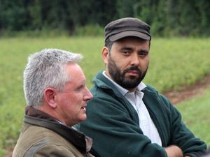Supporting image for story: Herefordshire nursery nurtures transplants ‘in house’ 