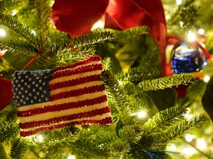 Supporting image for story: White House Christmas decorations give nod to Covid first responders