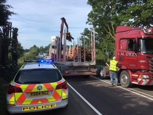 Supporting image for story: Lorry sheds load of logs onto A483