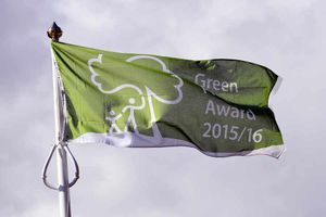 The flag in all its glory