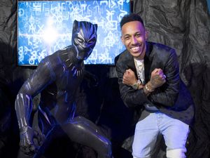 Supporting image for story