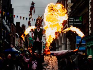Supporting image for story: Whitchurch Blackberry Fair pulls in the crowds - with pictures and video