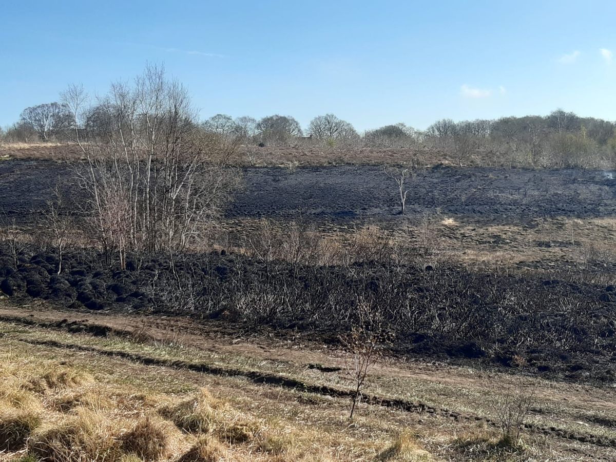 Watch: Aftermath of wildfire at Staffordshire nature reserve as fire crews remain at scene