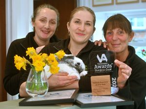 Supporting image for story: Shropshire exotic vet practice wins national recognition for bunny care