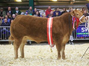 Supporting image for story: Success made in Shifnal at English Winter Fair