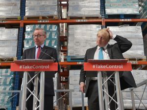 Michael Gove and Boris Johnson campaigned to leave the EU 