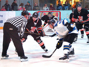 Supporting image for story: Telford Tigers fight back to cool Guildford Flames