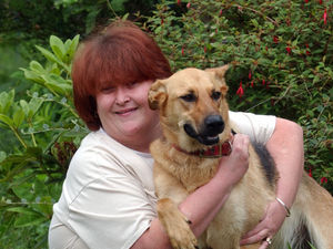 Supporting image for story: Black Country dog rescue group to close after 18 years of reuniting pets with owners