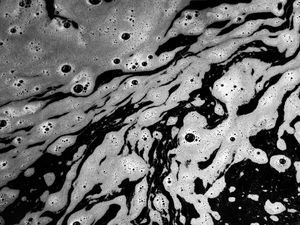 Supporting image for story: New laws that could see water bosses jailed over sewage spills come into force