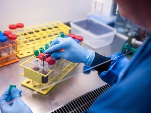 Supporting image for story: Governments in early talks with banknote maker over vaccine security