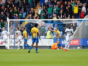 Supporting image for story: Dave Edwards: Shrewsbury Town may have to take a step back to move forward