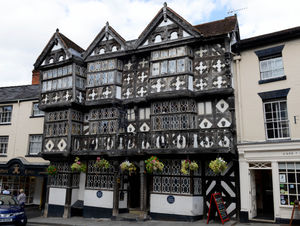 Supporting image for story: The Feathers: Results awaited after samples taken from Ludlow hotel