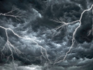 Supporting image for story: Storm Amy in Wolverhampton: Tree falls down blocking road to motorists - council issues warning