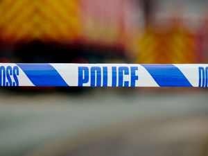 Supporting image for story: Bomb squad to examine garden find