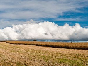 Supporting image for story: Presteigne Festival to go digital