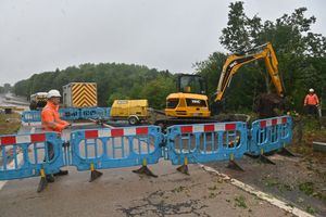 Workers have needed to cut trees down to get access to the site.