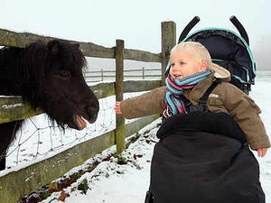 Supporting image for story: Snow covered West Midlands