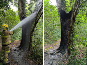 Supporting image for story: Firefighters tackle 'deliberate' tree fire in north Shropshire park