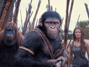 Supporting image for story: Film Talk: Latest chapter in simian super-run lands with Kingdom of the Planet of the Apes