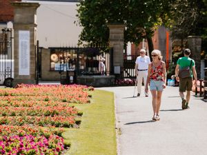 Supporting image for story: Hanging basket scheme is being rolled out to businesses across Oswestry 