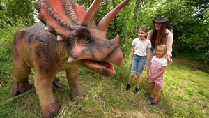 Seasonal events like the Dino Discovery Maize Maze in summer means there's year-round fun down on the farm 